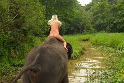 outdoorspanner - Sie wollte schon immer nackt auf einem Elefanten...