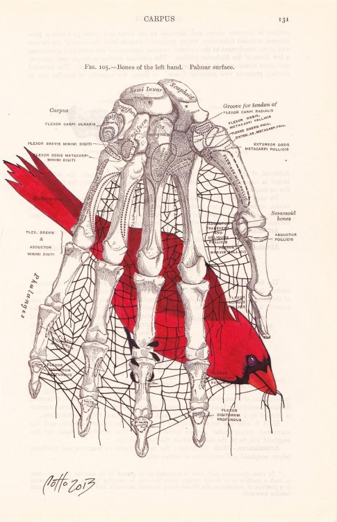 Birds & Bones by Julio Cotto Rivera. Copyright 2013.Ink on...