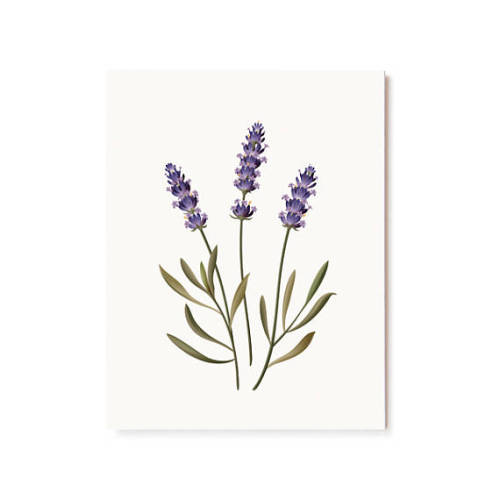littlealienproducts - Lavender Card byclapclapdesign