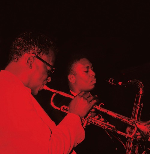 themaninthegreenshirt - Miles Davis and John Coltrane