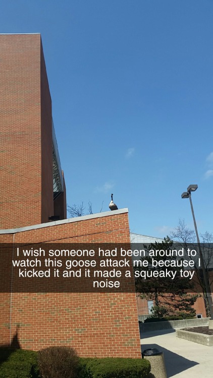 rich-stitches:I have an important storyI was walking out of the gym on campus and over to my bike...