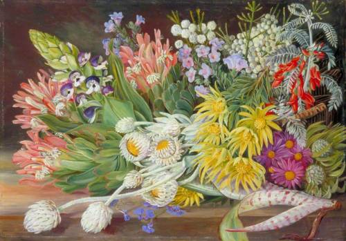 art-and-things-of-beauty:Still lifes of tropical flowers, plants...