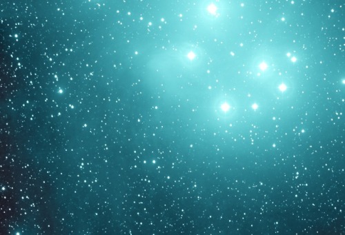 astronomyblog:Comet C/2014 Q2 Lovejoy and the Pleiades...