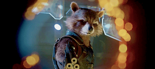 Rocket Raccoon | THE HUNTERS تقرير | The Biggest Idiots In The Universe  Tumblr_or9618X8Is1t3wylzo1_500