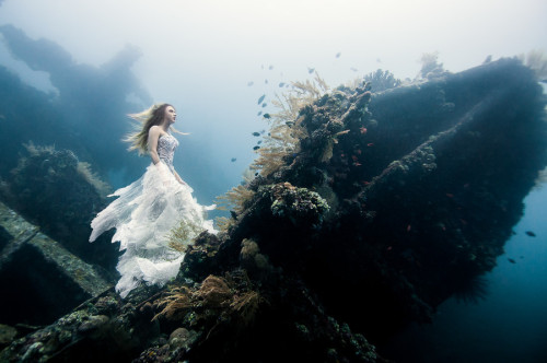 petaqui:Deliverance by vonwong - Check it out on 500px...