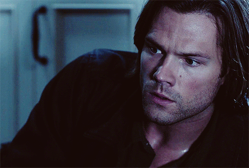 out-in-the-open -          Appreciation of Winchester genes