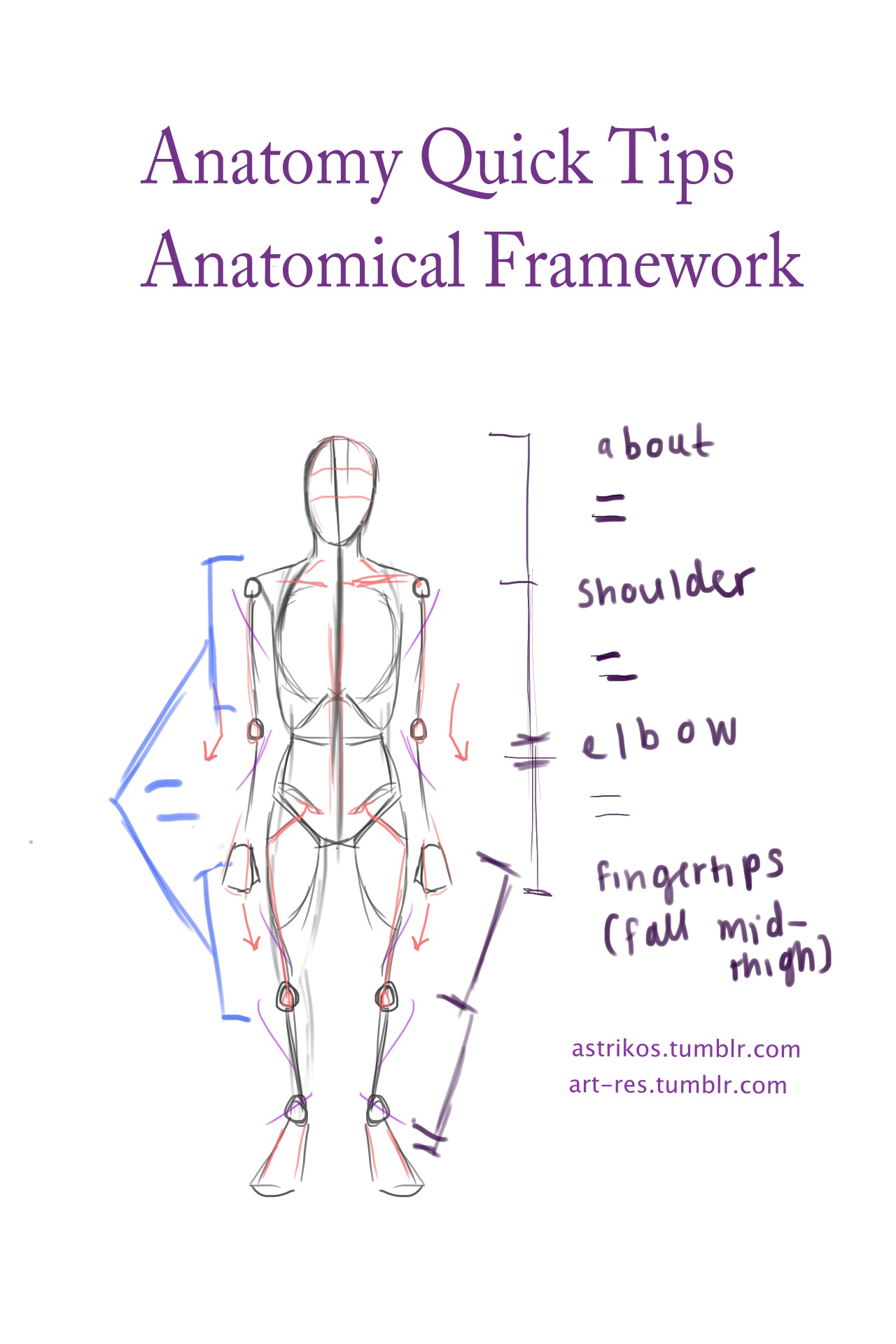 Anatomy Quick Tips – Anatomical Framework 