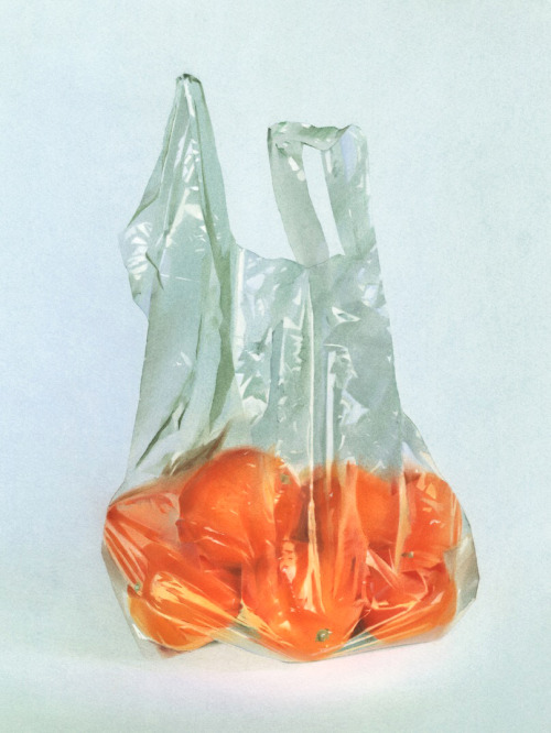 annarobertsstudio - ‘Oranges’ - pastel on 100% cotton paper