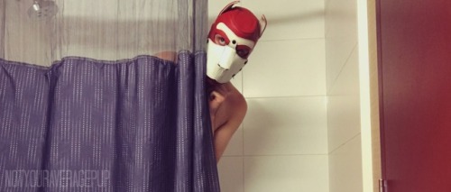 notyouraveragepup - ~Shower Time~…Can Someone Get My Back?…