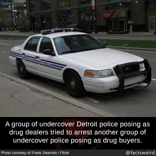 mindblowingfactz - A group of undercover Detroit police posing...