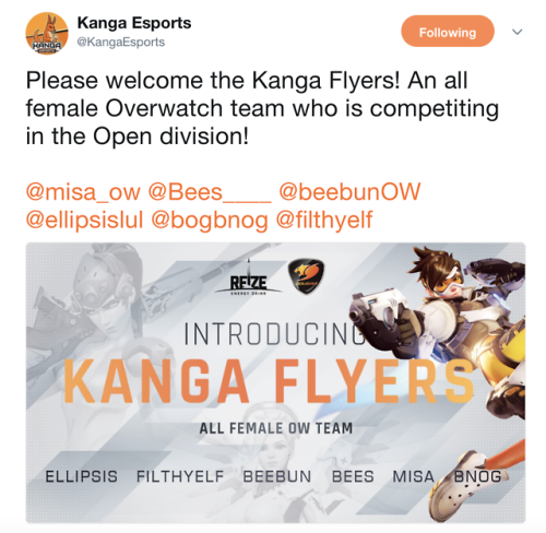 pockethealing - There’s an all female overwatch esports team...