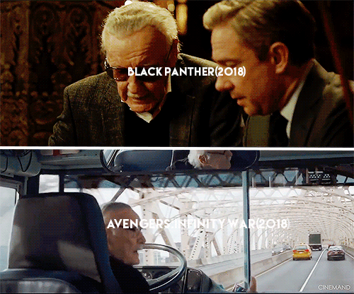 catandcrown:chrjshemsworth:every single STAN LEE cameo in the...