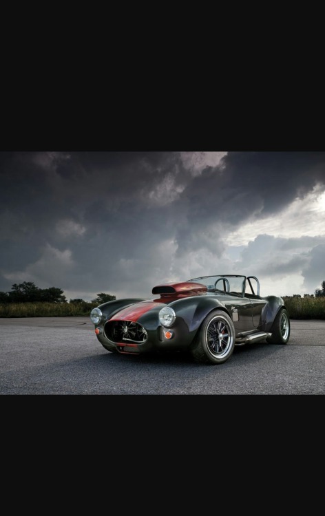 therealcarguys:12.9L v8 Weineck Shelby Cobra [1439x2287] -...