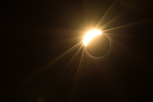 bobcronkphotography:Solar Eclipse - Portland, Oregon, August 21,...