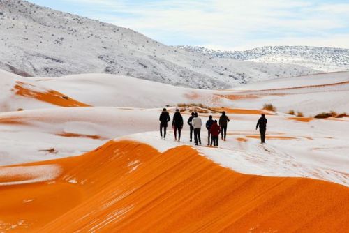 linxspiration - It Snowed In The Sahara Desert And The Pictures...