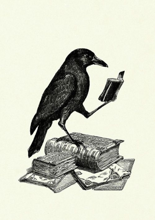 spookyloop:Halloween Raven Crow reading a Book by...