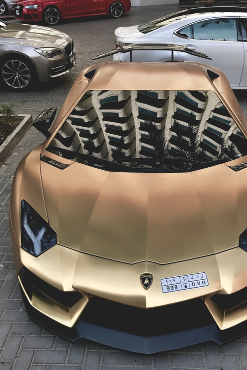 motivationsforlife - Matte Golden Aventador by @k_cars