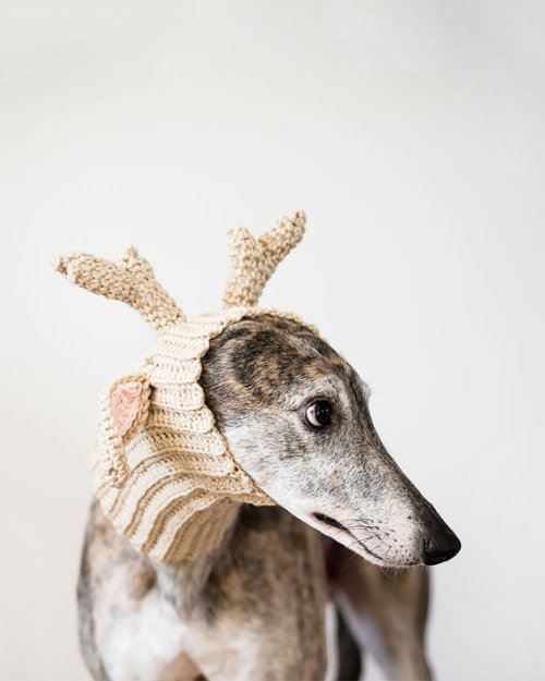 littlealienproducts - Greyhound-Deer Print byAmyRothPhoto