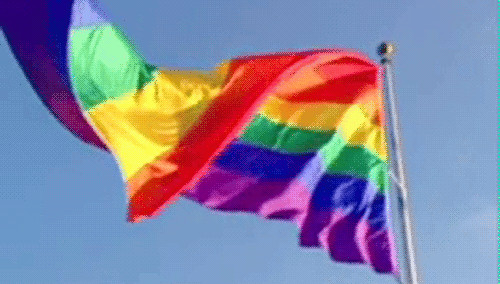 rainbow flag on Tumblr