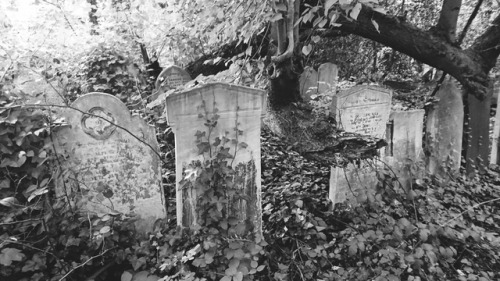 satanswidow - Tower Hamlets Cemetery Park, London • 14/10/2017