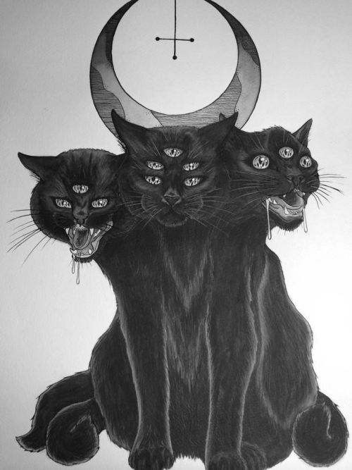 demon cat  on Tumblr 
