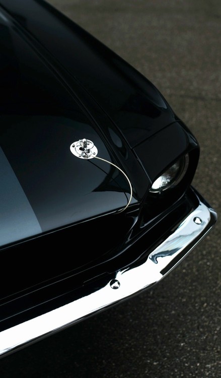 h-o-t-cars - Ford Mustang Shelby GT350