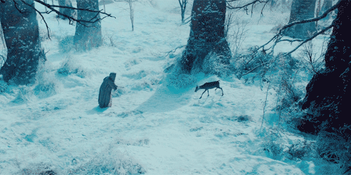 andantegrazioso - Snow rose | Maleficent