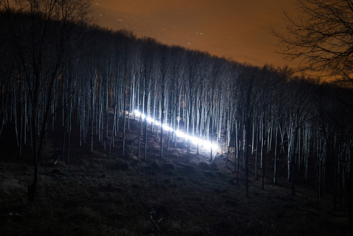 itscolossal - Streaks of Light Illuminate Hungarian Forests During...