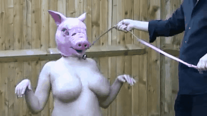 Master 4 Pig Slaves