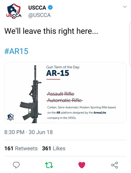 italianguy617 - Educating Liberals 101 on #2A