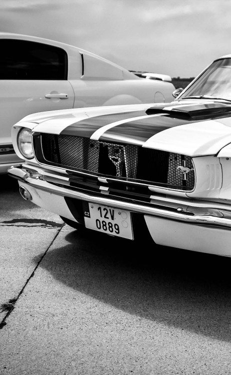 h-o-t-cars:Ford Mustang Shelby GT350 | Source