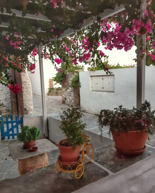 chanelbagsandcigarettedrags - Sifnos, Greece