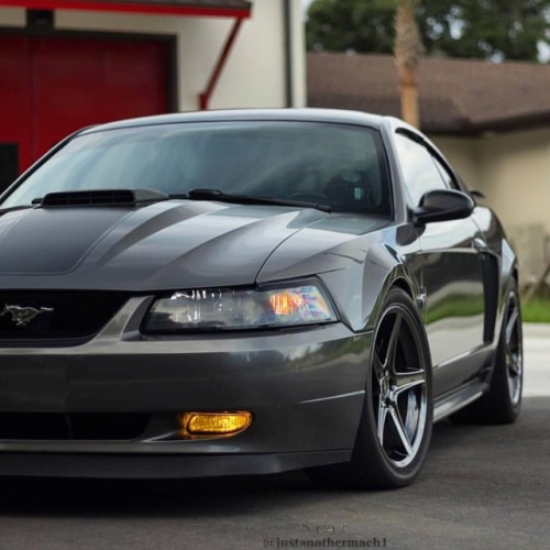 mustangfanclub - #Mach1Monday! # @justanothermach1 Tag your...