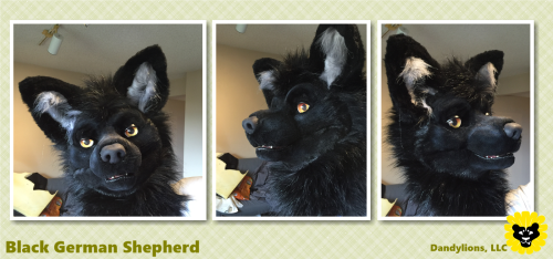 German Shepherd Partial!This head was built on a DVC large...