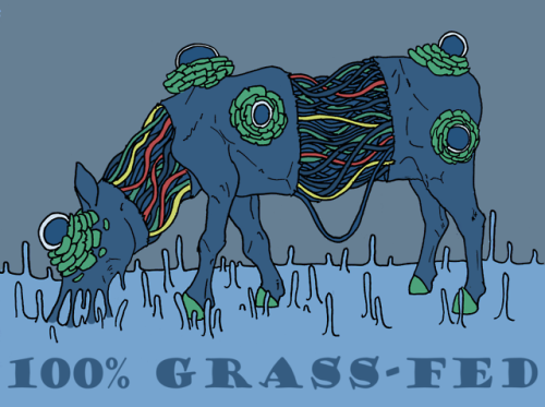 glasswhistles - 100% Grass-Fed