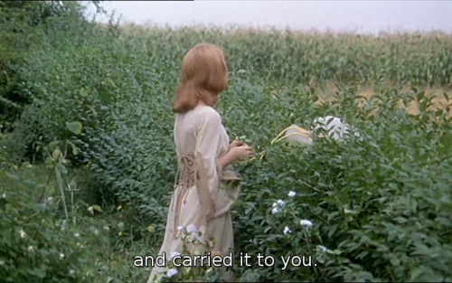 roserosette:Faustine and the Beautiful Summer, 1972, Nina...