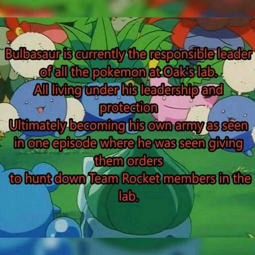 corsolanite:bulbasaur-propaganda:Some facts you need to know...