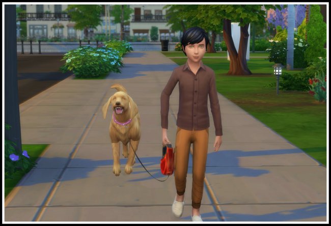 Kids can go for a Walk with DogsThis Mods enables all four Go for a Walk Options with Dogs for Kids. It also builds up Responsibility for Kids/Teens.
[[MORE]]Known Issue: The Animation is not made for Children. That means they will stretch at the...