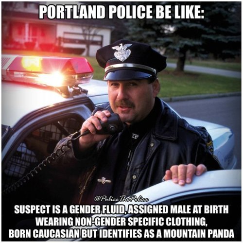 getinvolvedyoulivehere - A little PtP humor! #PoliceThePolice