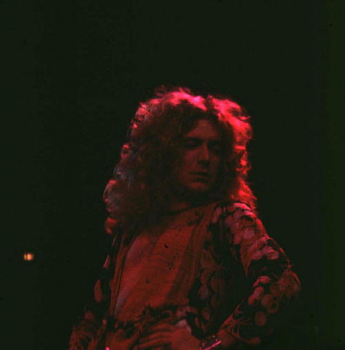 callmethehunter - jefferson-mad-hippie - Robert Plant of Led...