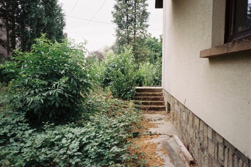 theslowsideoflife - Nature taking over my childhood house,...
