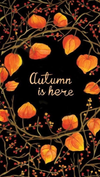 lockscrns - autumn aesthetic I DO NOT OWN ANY OF THE...