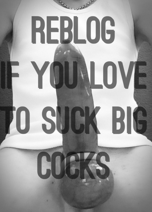 big-white-cocks-daily - REBLOG IF YOU LOVE TO SUCK BIG COCKS 