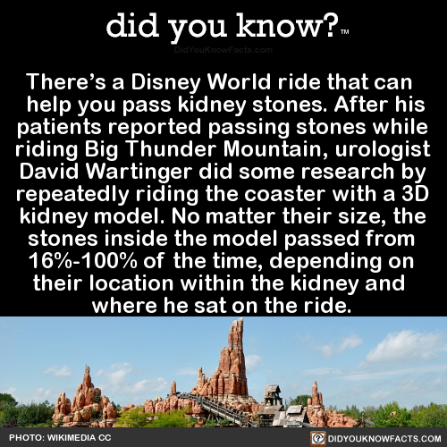 theres-a-disney-world-ride-that-can-help-you