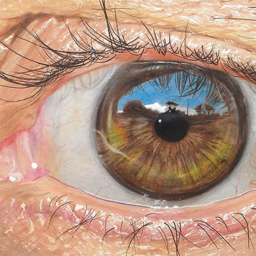 asylum-art-2 - Hyper-Realistic Eye Illustrations by Jose Vergara...