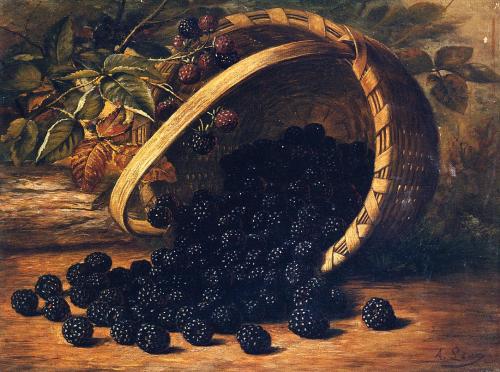 pagewoman - Blackberries in Basket by August Laux 