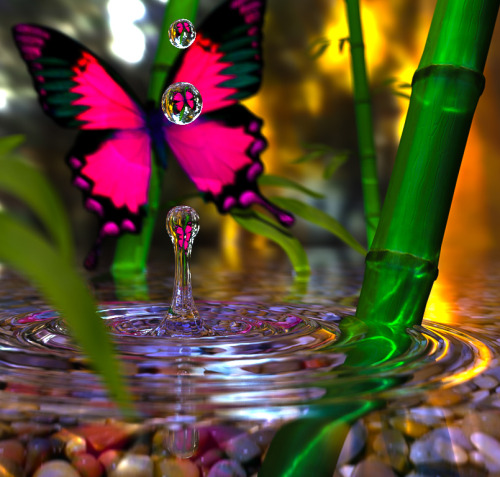 coiour-my-world:Butterfly drops