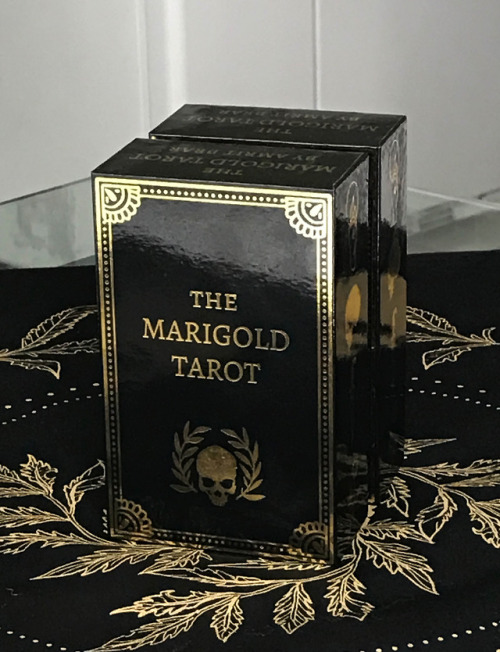 musterni-illustrates - The Marigold Tarot by Amrit BrarSome...