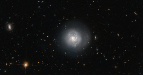 At the centre of the tuning fork - lenticular galaxy Mrk 820 js
