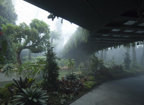melisica - Cloud Forest, Singapore